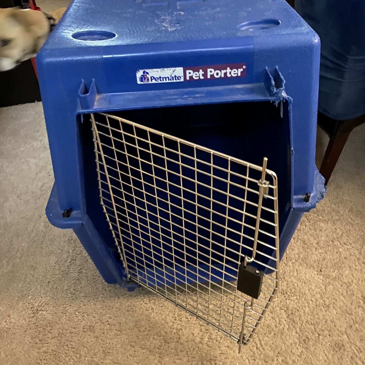 Pet porter cheap