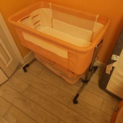 Pink Baby Girl Moises 