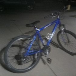 Mountain Bike ( men ) Schwin 29 In 