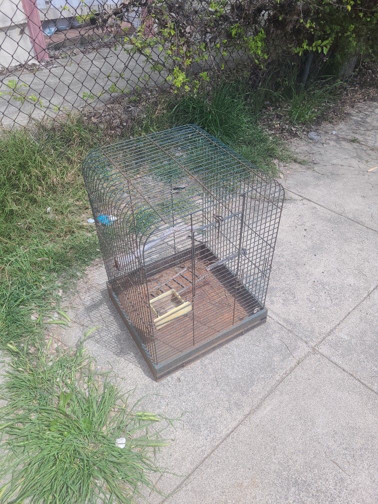 Bird Cage