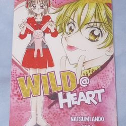 Wild @ Heart Omnibus Manga Novel 1-2-3 Anime Books English By Natsumi Ando 