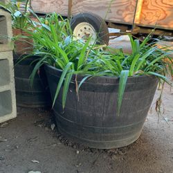 Large Bucket About 25 Gallon Each I Have 3 Of Them. Drilled Drainage