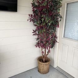 6.5ft Artificial Tree  Used Outside Patio For Decoration