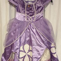 Original Disney Princess Sophia Halloween Costume