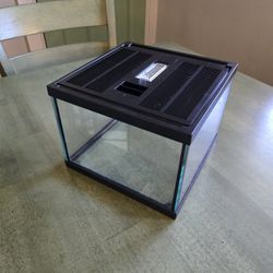 Glass Terrarium