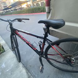 Road Bike 