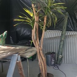 Fake Tree