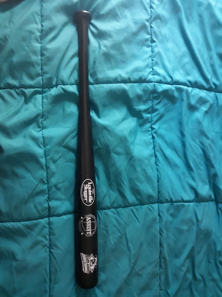 South bend silver hawks Louisville slugger vintage collectors bat