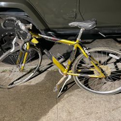 Denali Aluminum Sports Bike