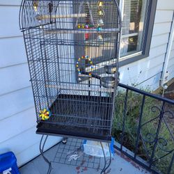 🐦 Bird Cage For Sale 