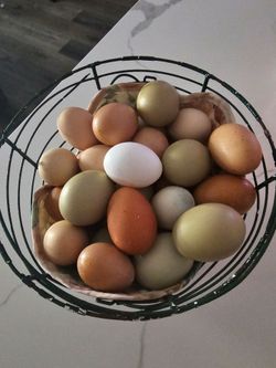 Organic fresh eggs