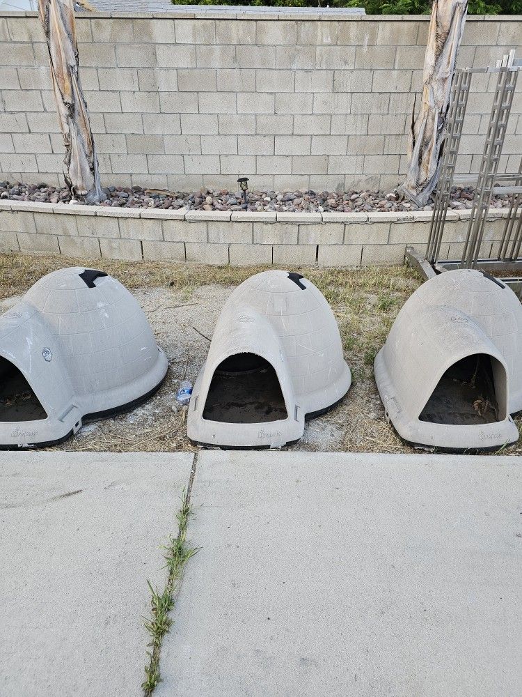 Dog House