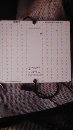 Plant Grow Light