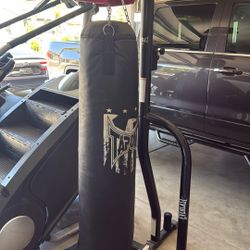 Everlast Boxing Bag And Speed Bag