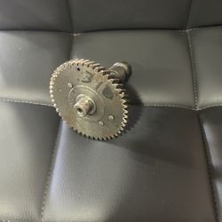 310 Mini Bike Predator 212 Cam