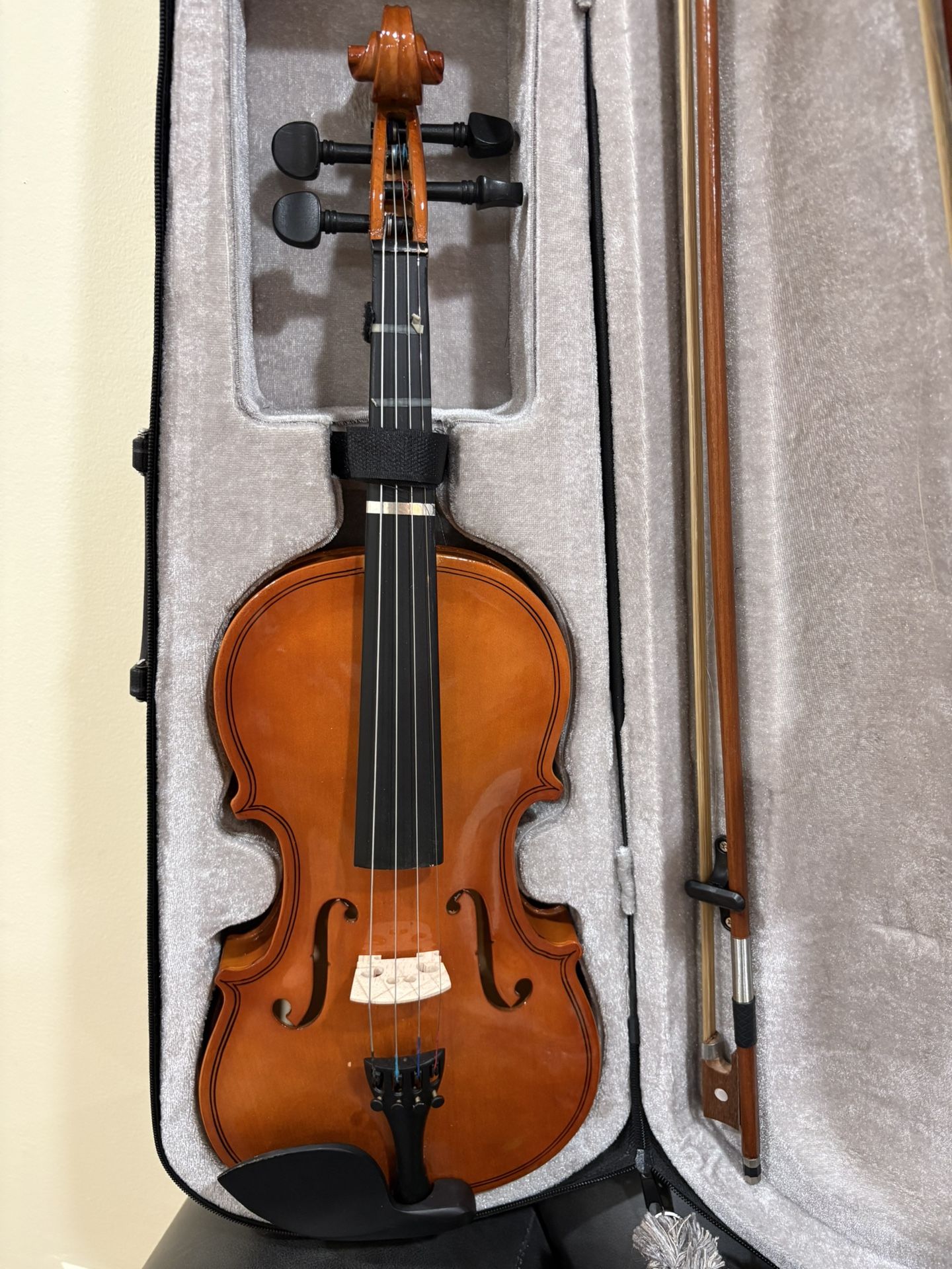 Violin