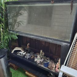 55 Gallon Fish Tank With  Stand And Deco