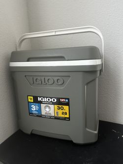 Igloo Cooler 30qt