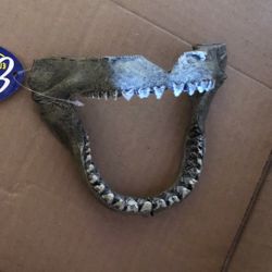 Shark Jaw Fish Tank Statue