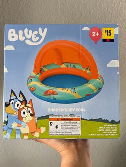 Bluey baby pool new