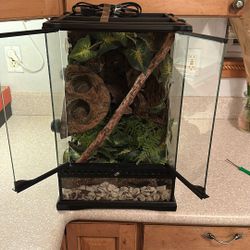 Exo Terra Tank (reptile)