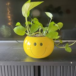 Golden photos ❤️ 89103