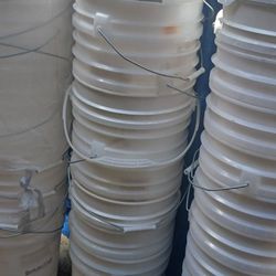 Find gallon buckets  🪣  $2.50 $3w Lids  Firm 