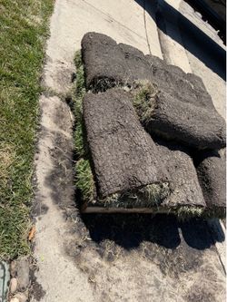 SOD beautiful grass 19 rolls left