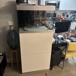 Fish Tank Set Up