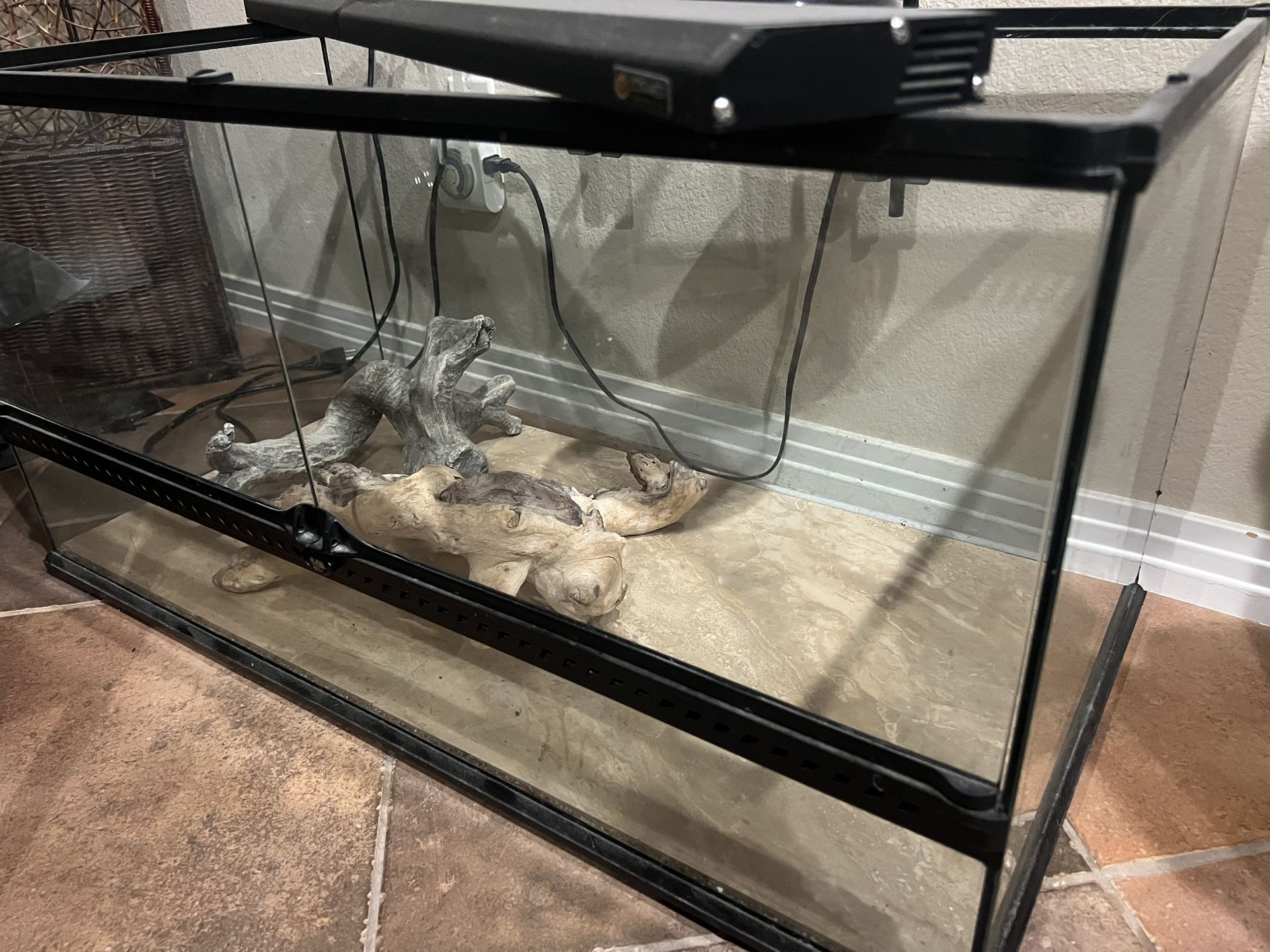 Reptile Enclosure With Lights