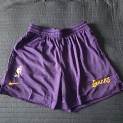 Nike NBA Los Angeles Lakers Mesh Shorts 