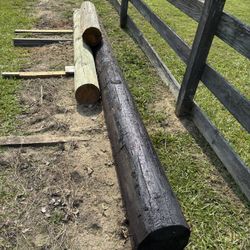 Telephone Poles 