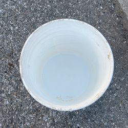 5 Gallons Empty Clean Buckets