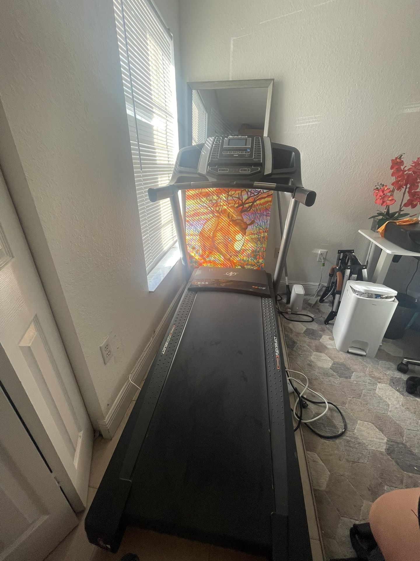 Nordic Treadmill