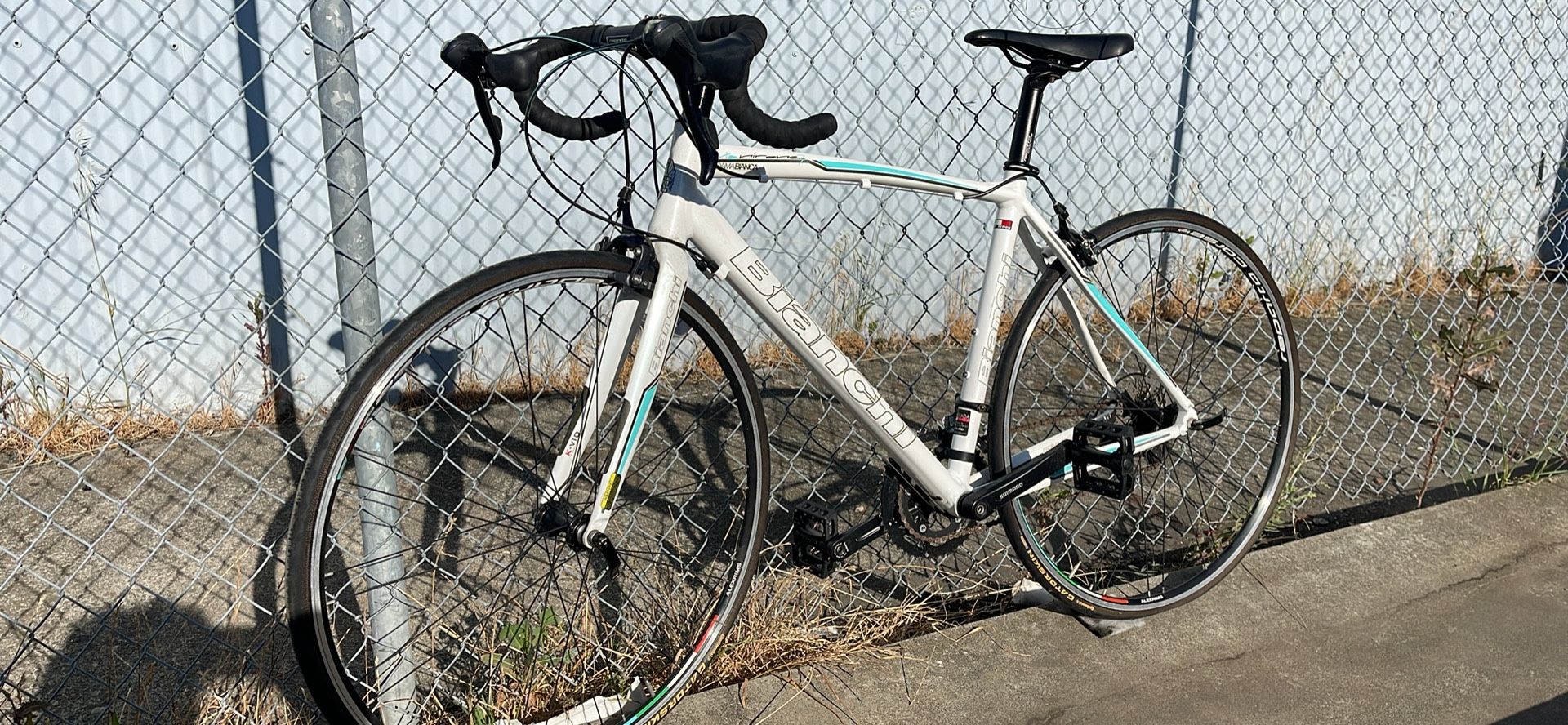 Bianchi Alu Hyrdo Triple Butted 6000