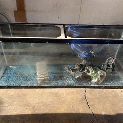 Fish Tank 