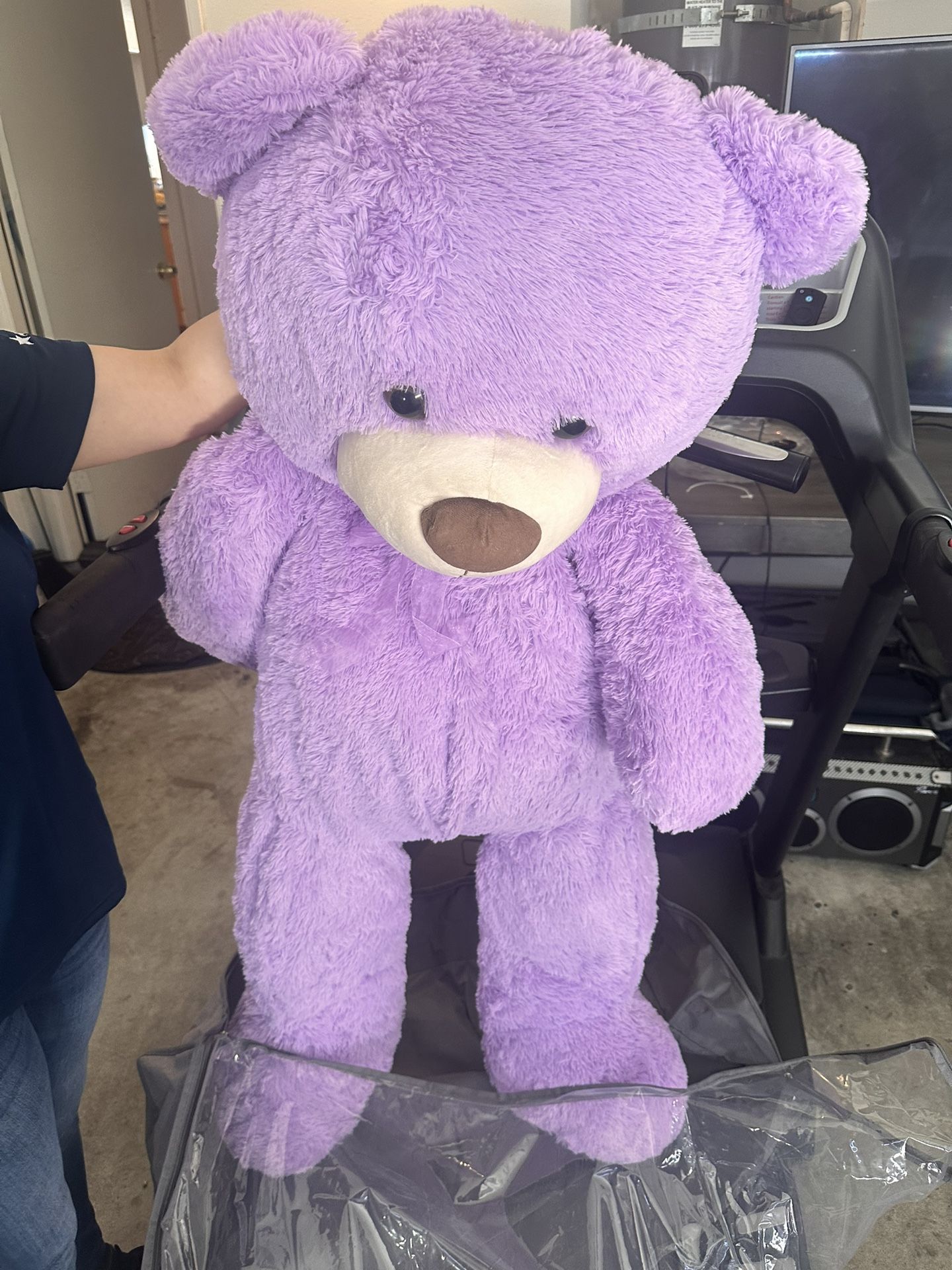 Big Purple Bear