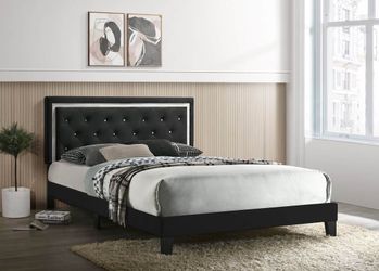 Velvet Queen Platform Bed