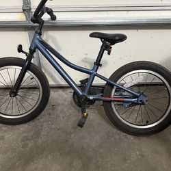 Giant kids 16 inch bike
