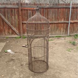 Bird Cage