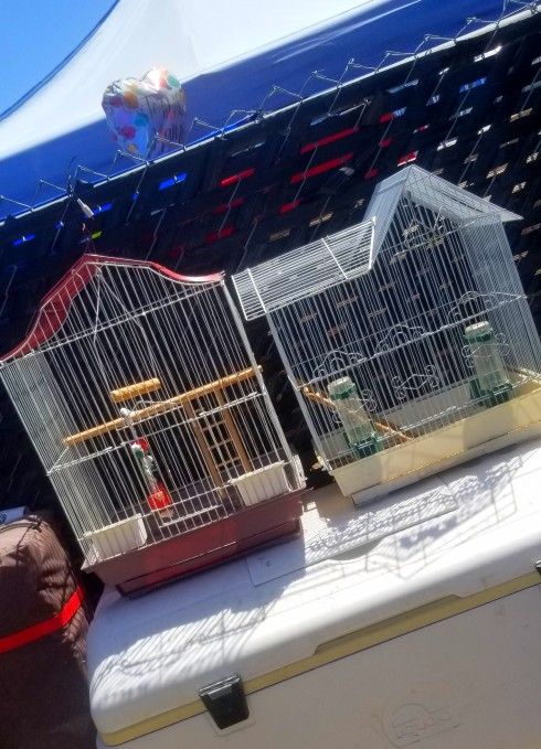 Bird Cage