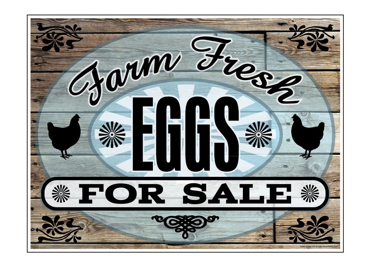Organic Farm Fresh Eggs