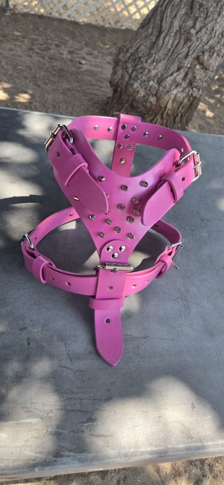 Dog Harness
