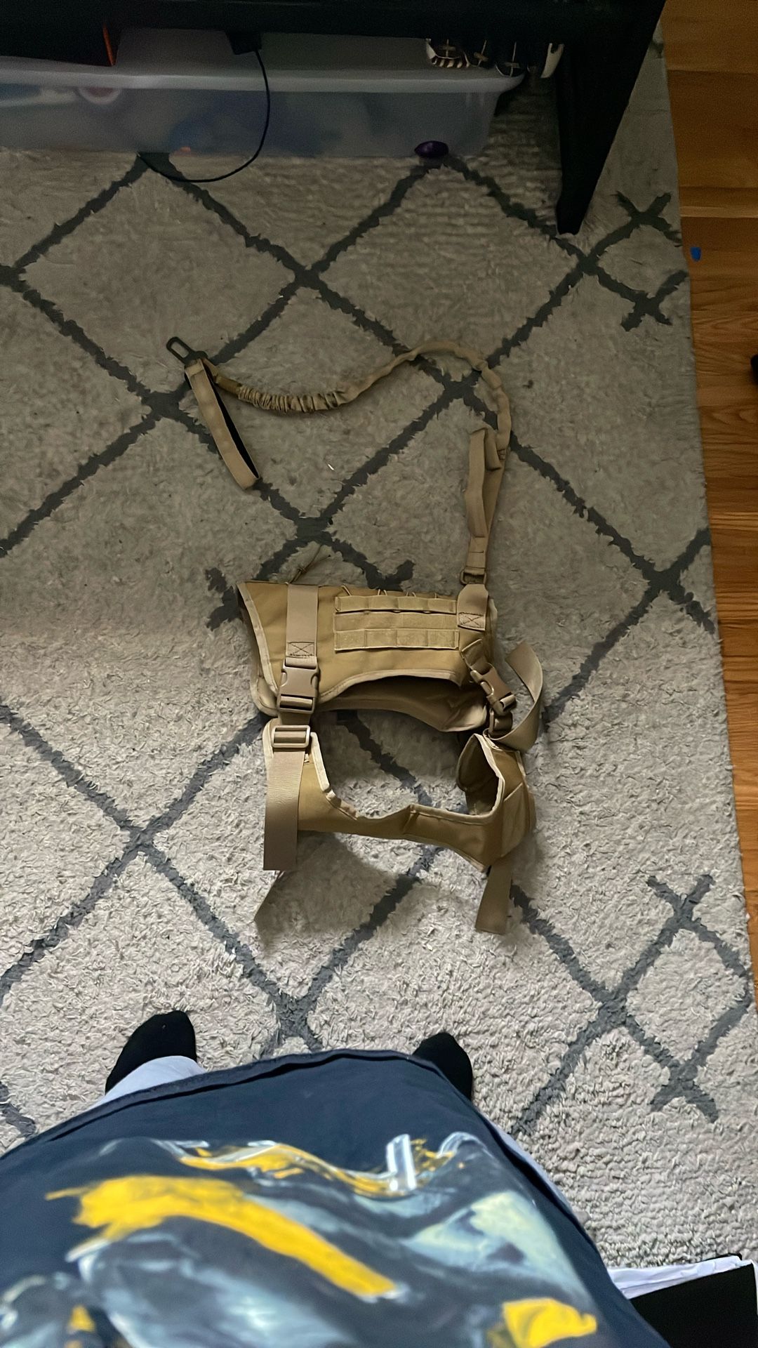 Dog harness