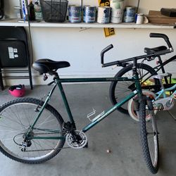 Diamondback Wildwood Bike