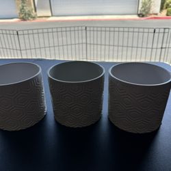 Plant Holders 