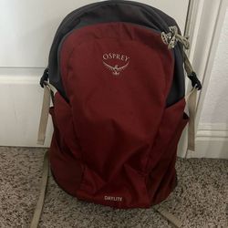 Osprey Hiking Backpack