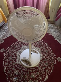 Fan