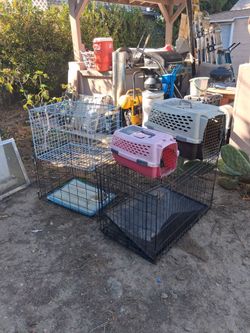 Cat and Dog cages/carriers