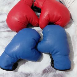 Box gloves for Boys $20